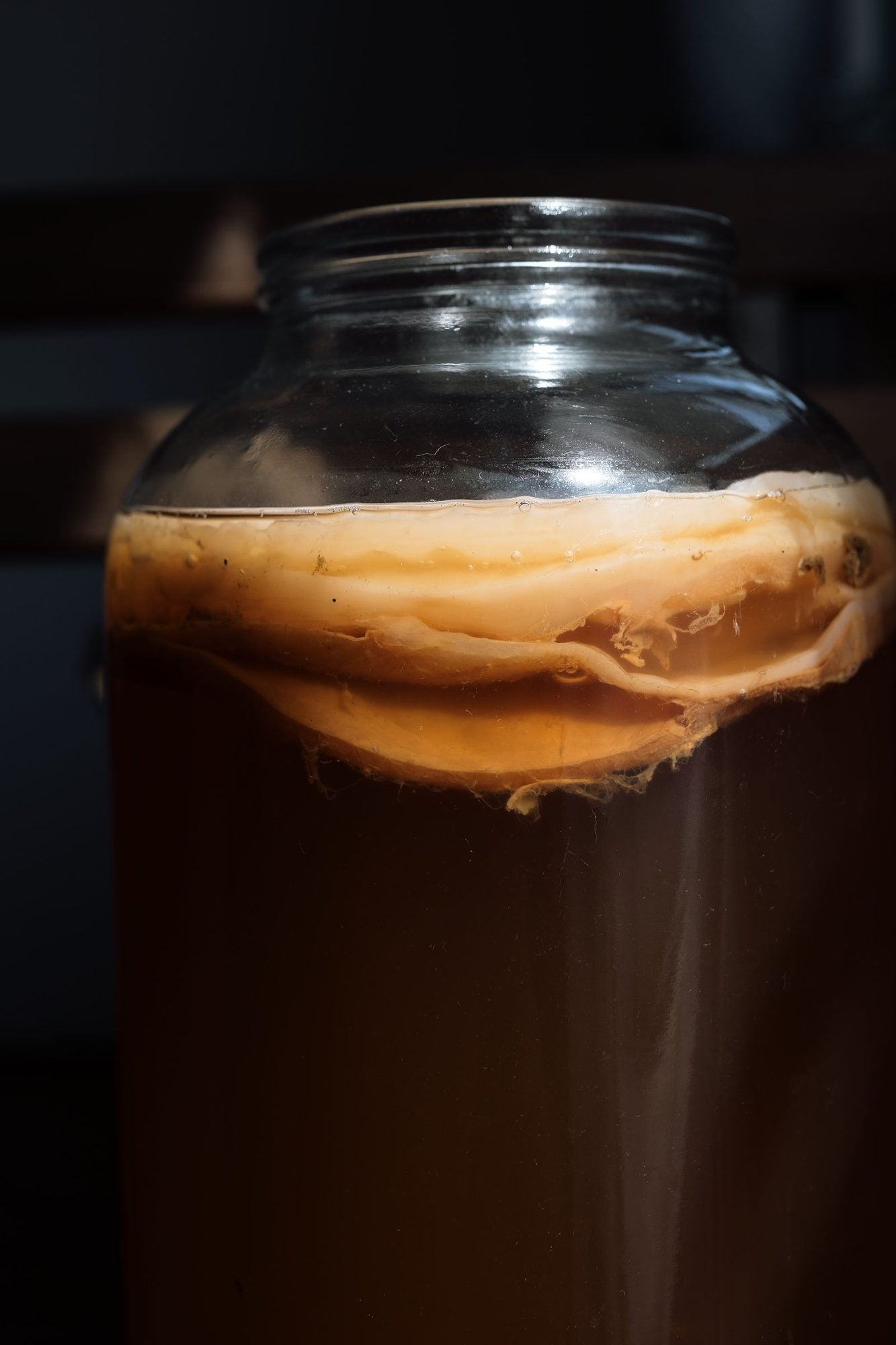Kombucha és vízikefir